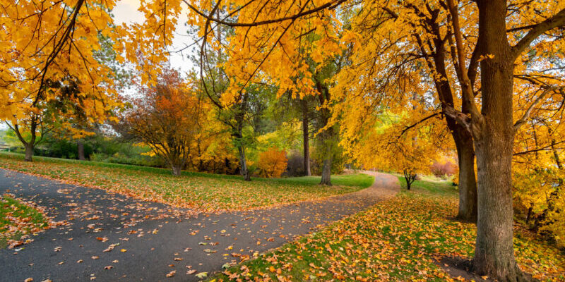 welcome to Columbia, TN